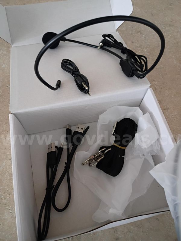 NEW Digital Voice Amplifier