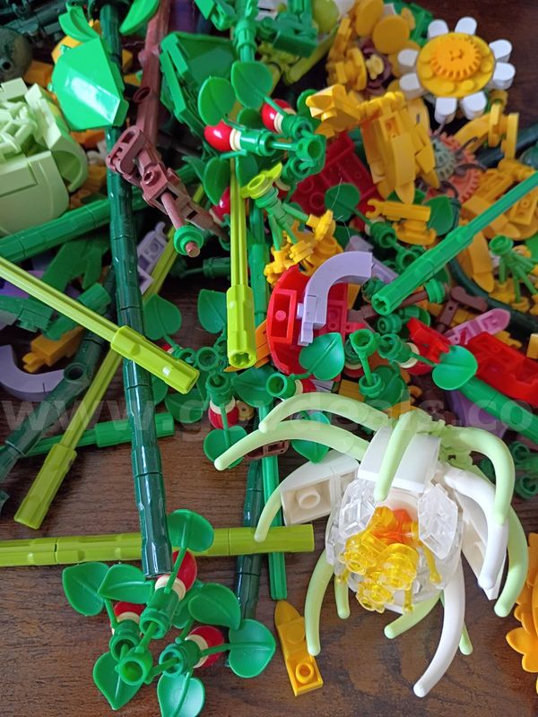 Lot of Lego Botanical Collection
