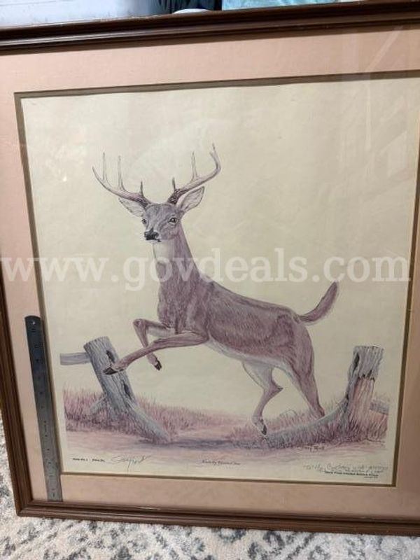 Kentucky Whitetail Deer / Jerry Frost / Authentic