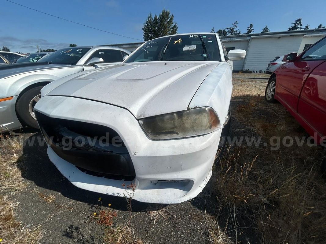 White 2014 Dodge Charger SXT