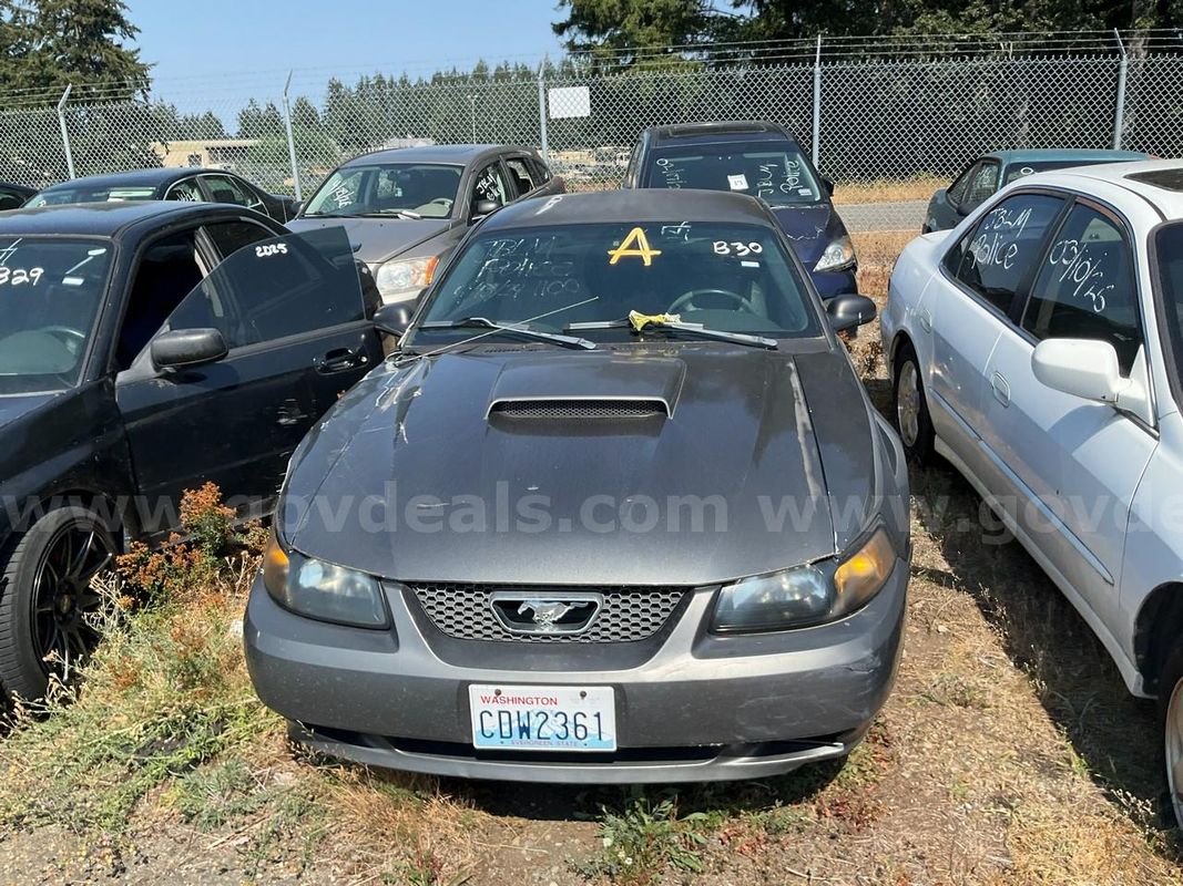 Gray 2004 Ford Mustang