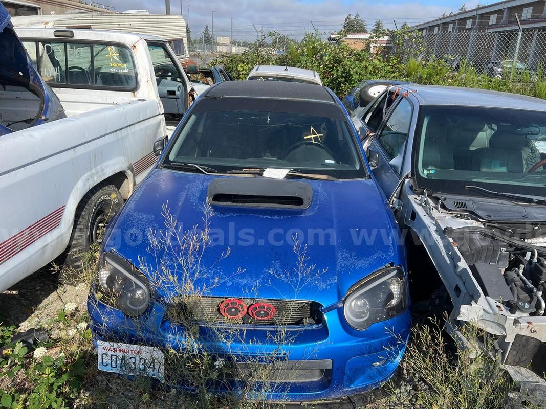 Blue 2004 Subaru Impreza WRX