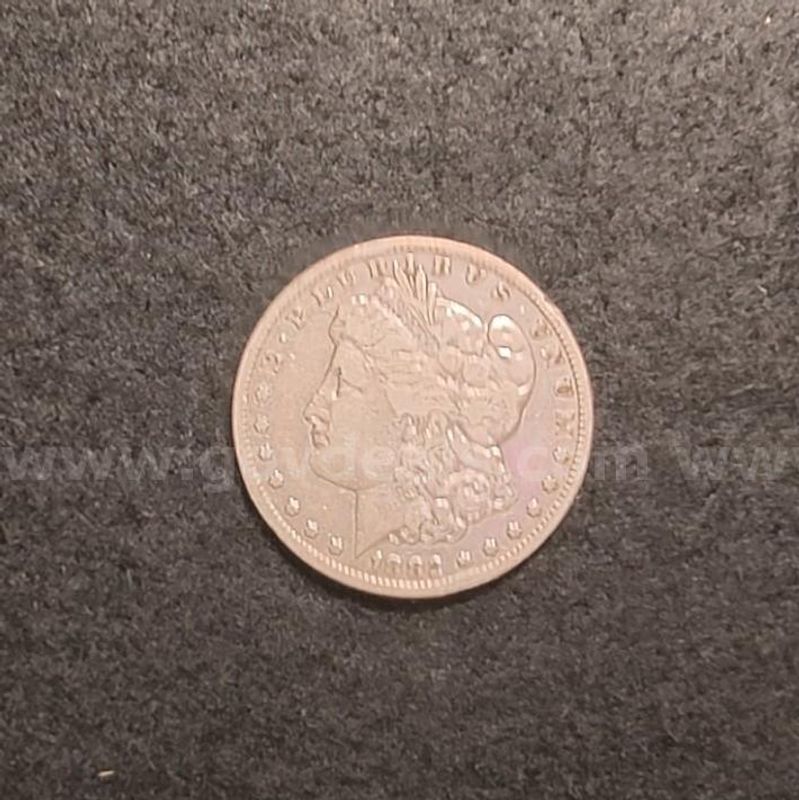 1882-CC High End Morgan, Attractive Surfaces