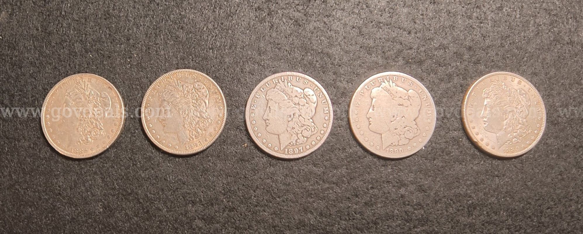 Five Morgan Dollars