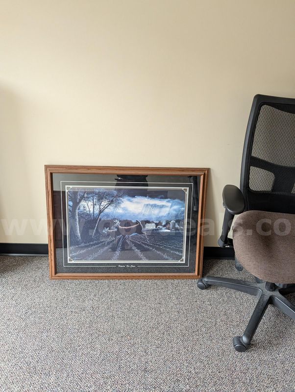 Executive Office Lot – Wood Credenza Cabinet, 3-Tier Bookcase, 2 Mesh Chairs & Framed Art
