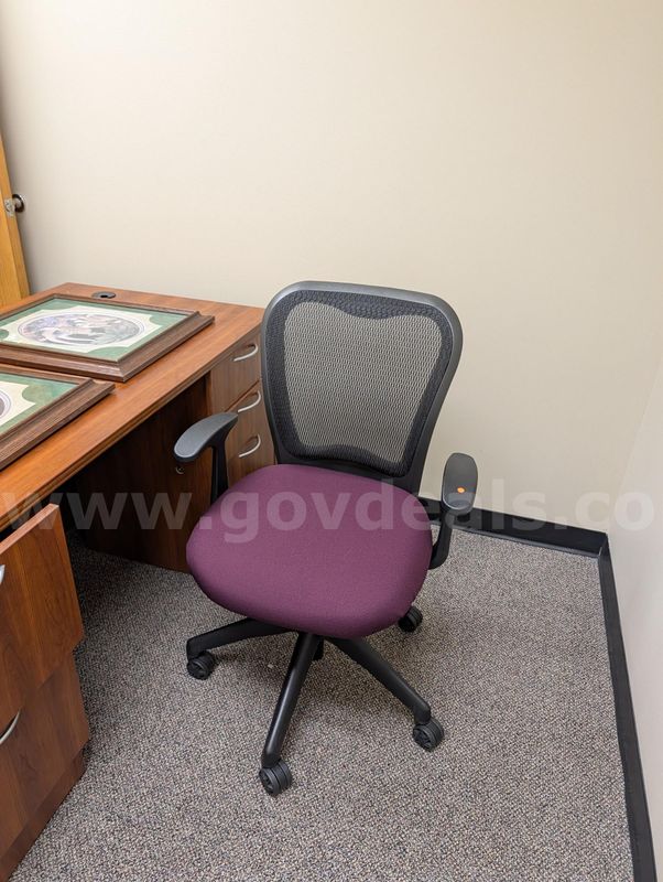 Executive Desk, Mesh Task Chair, Utility Cart, Dustbuster Vacuum & Framed Art