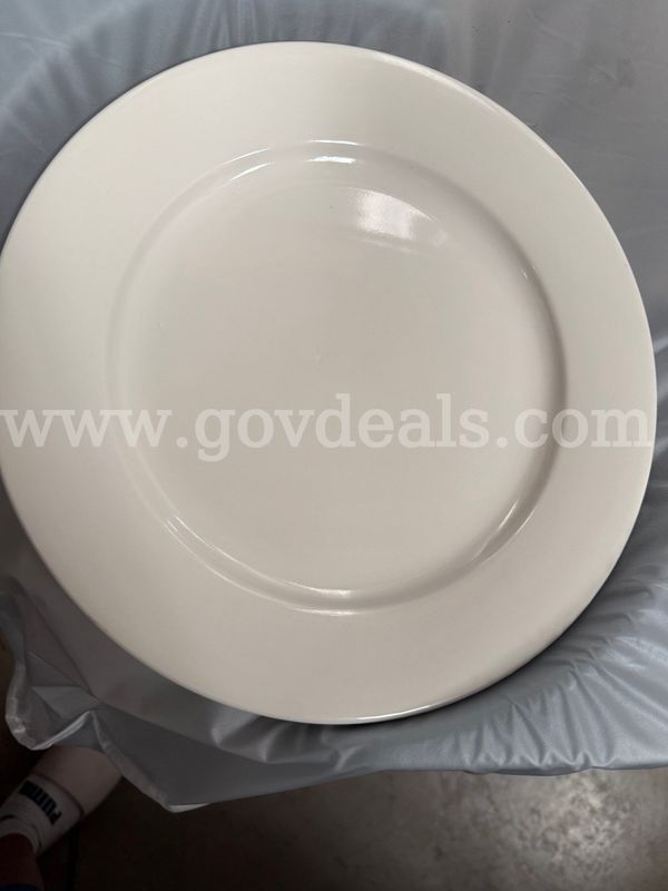 9" Dinner Plate