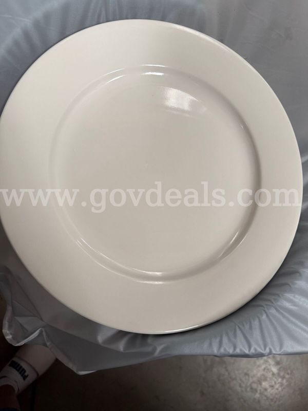 12" Dinner Plate