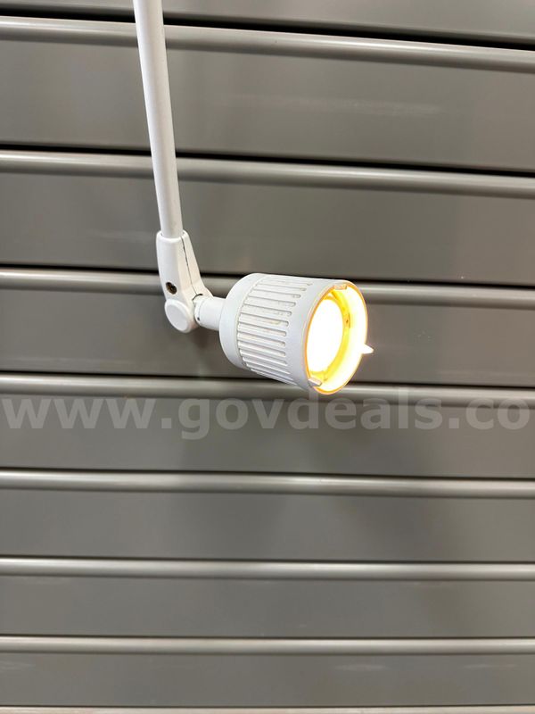 Examination Light