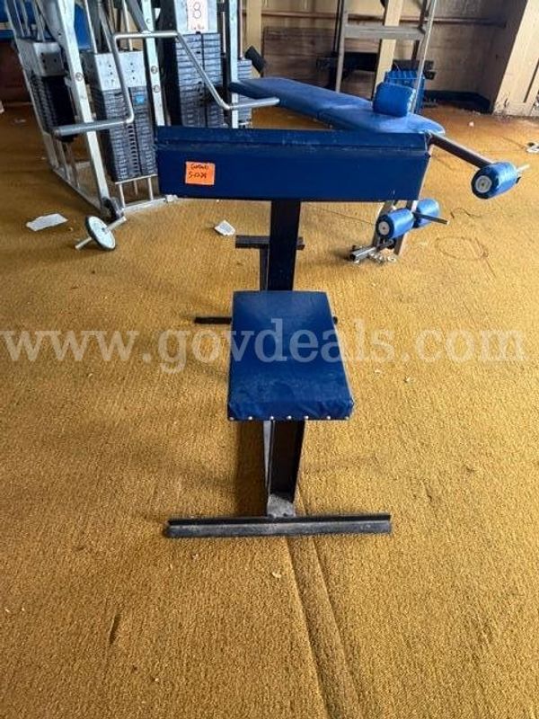 Lot of Weight Benches, Weights, and Lifting Equipment