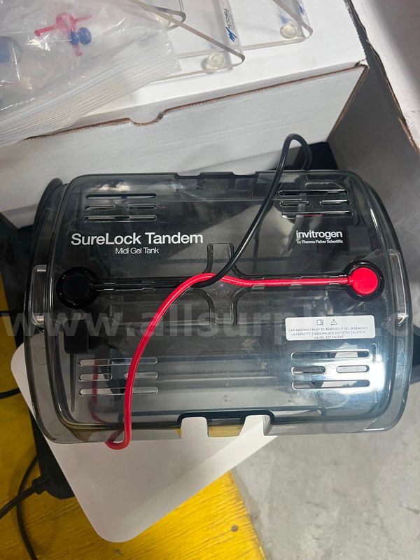 Invitrogen Thermo Fisher SureLock Tandem Midi Gel System with power ease pack, STM1001