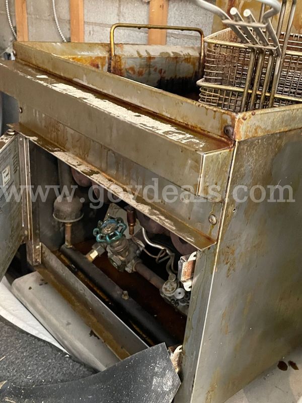Commercial Deep Fryer