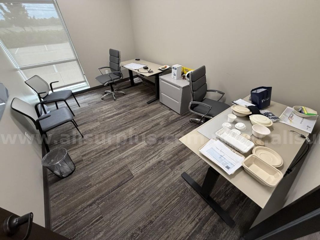 Office Furniture, Chairs, Adjustable Height Desks, File Cabinet, and Misc Power Cords, 1 Lot
