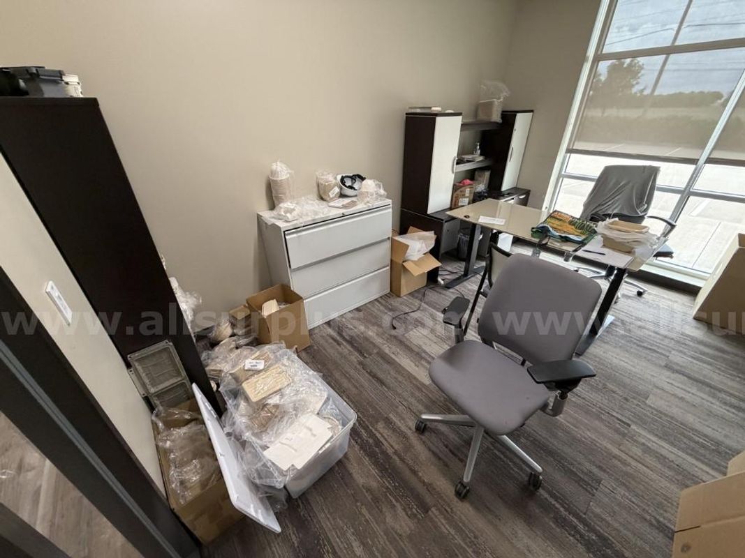 Office Furniture, Chairs, Adjustable Height Desk, File Cabinets, Book Shelfs and Misc Power Cords, 1 Lot