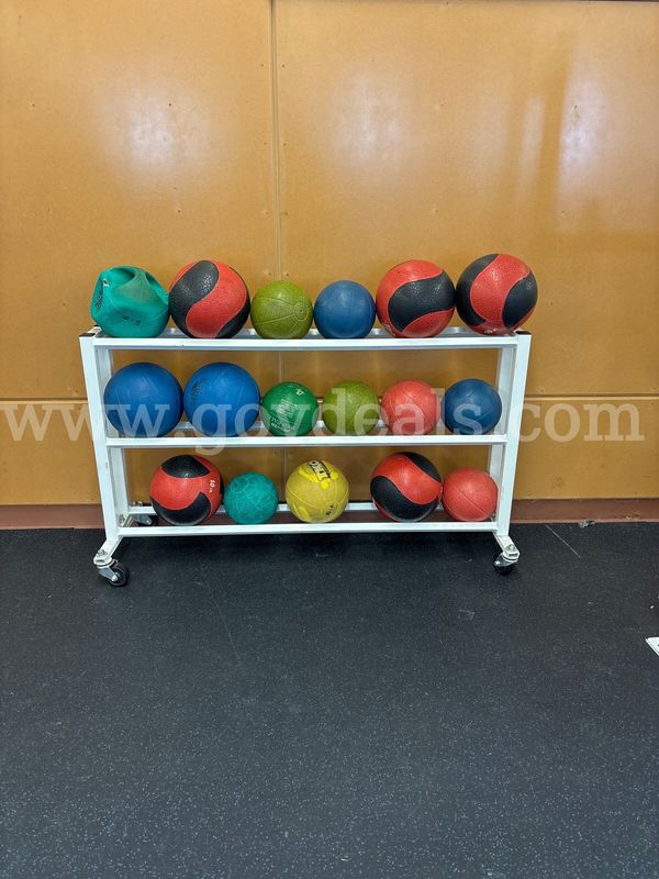 Lot of 16 Medicine Balls w/ Rack