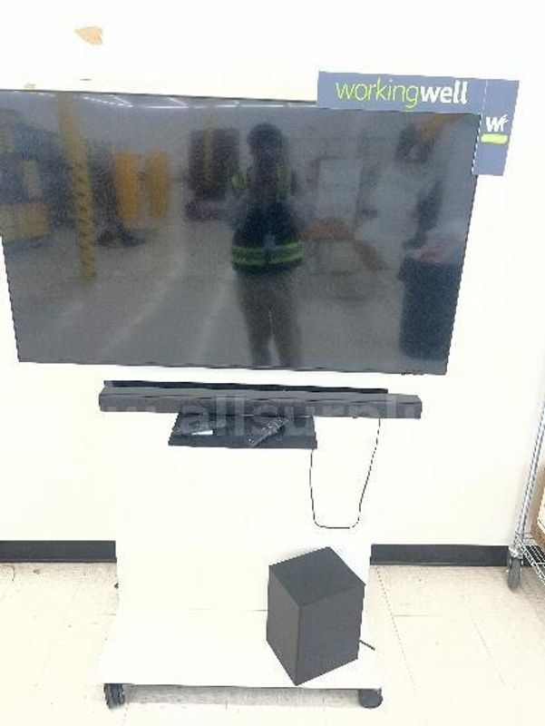 Tv and Speaker System