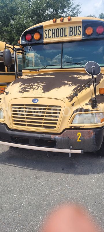 2010 Blue Bird Vision