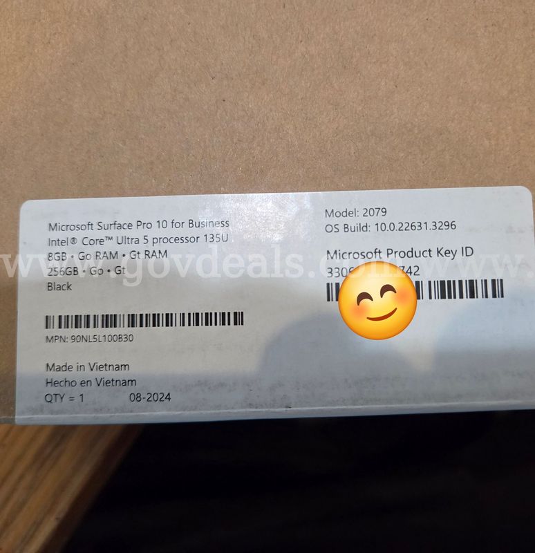 Microsoft Surface Pro 10 for Business Edition Ultra 5