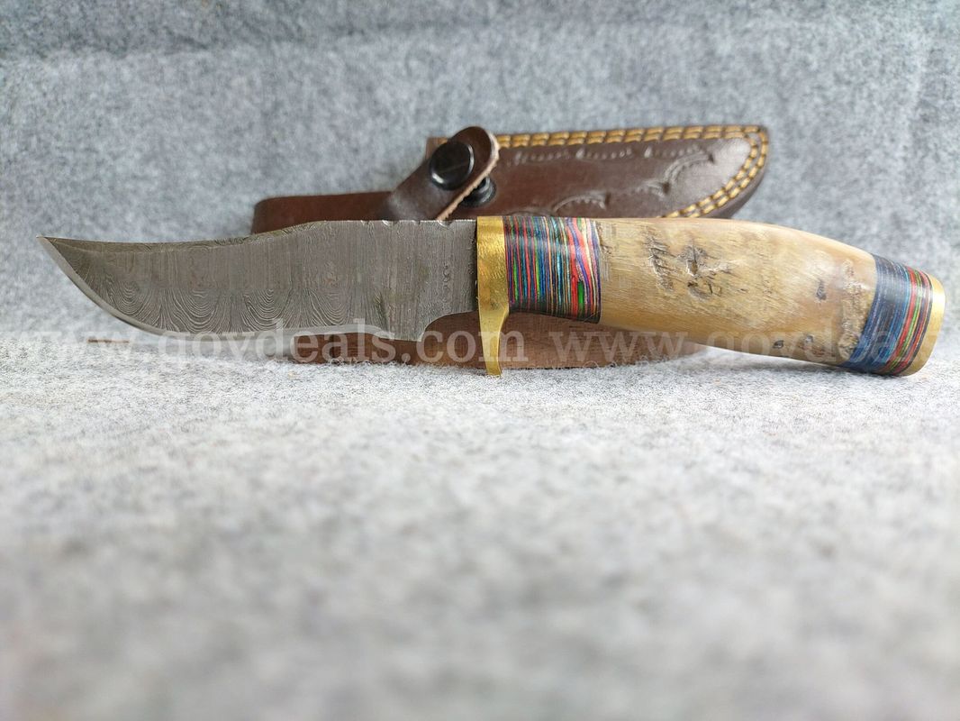 Stag Handle Damascus Straight Blade w/Sheath