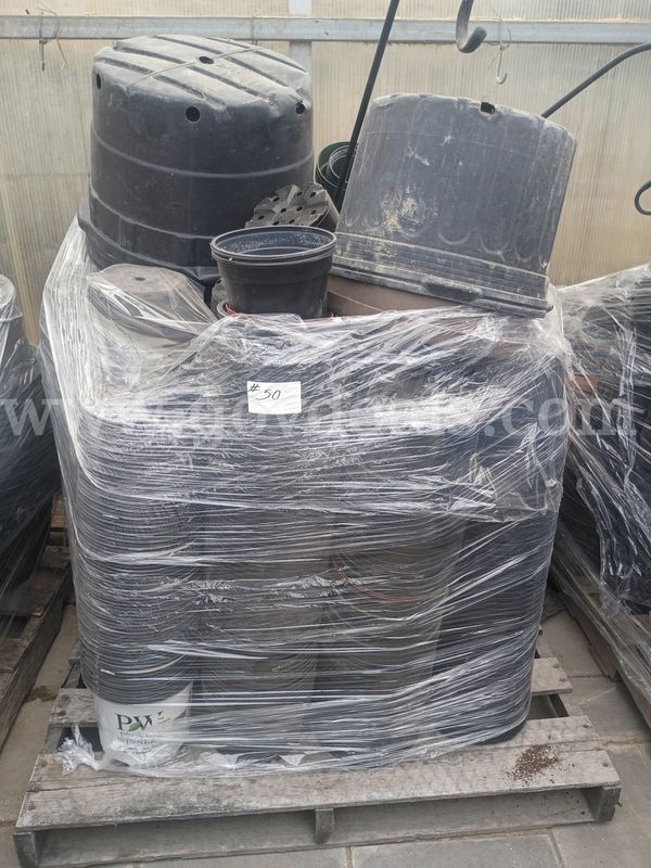 Plastic Pots #50