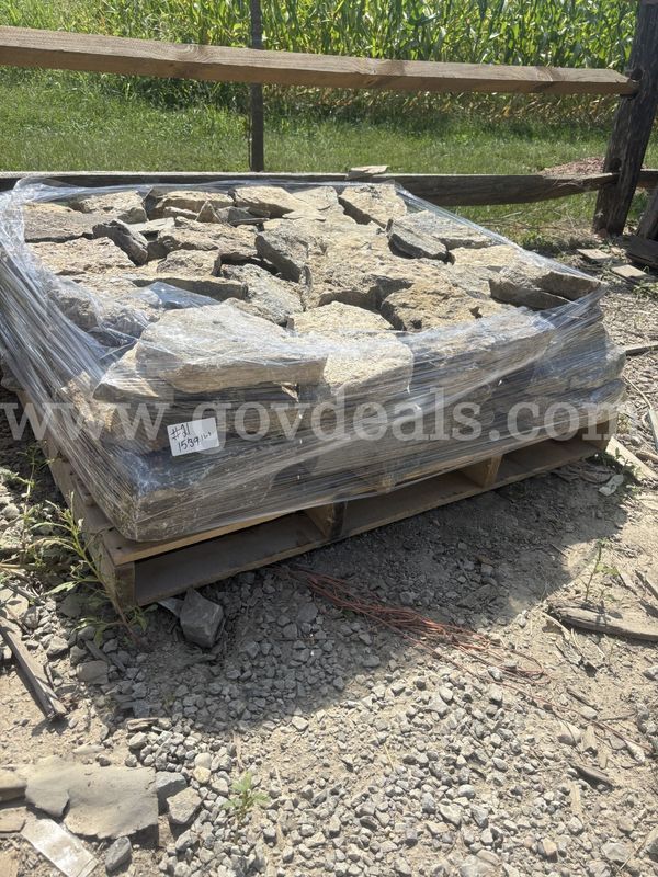 Small Field Stone #41