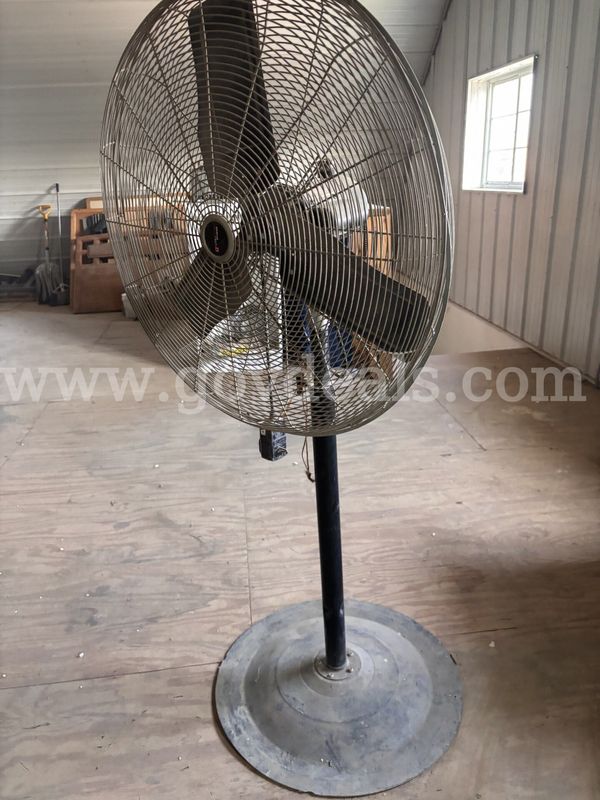 Big Fan