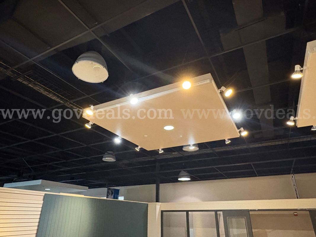 Ceiling Lights & Fixtures