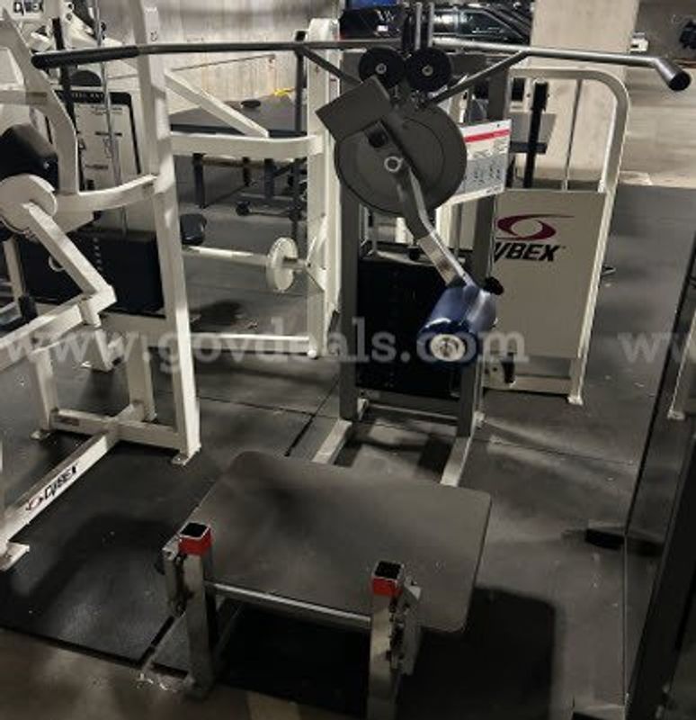 Cybex Selectorized Multi-hip