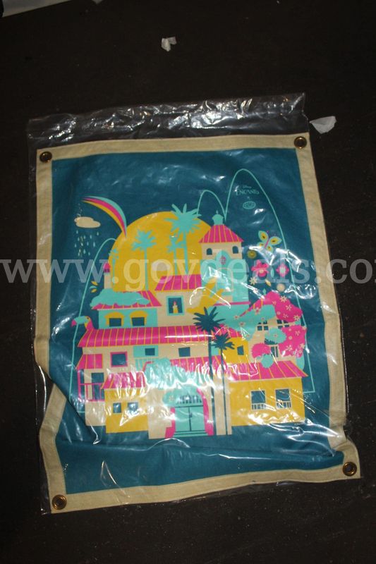 Brand New Camp X Disney's Encanto Collab Casita Felt Flag