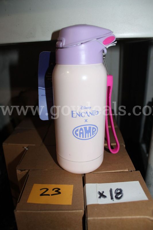 Brand New Camp X Disney Encanto Collab Kids Metal Water Bottle Isabela Theme