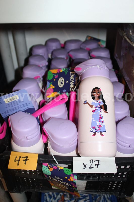 Brand New Camp X Disney Encanto Collab Kids Metal Water Bottle Isabela Theme