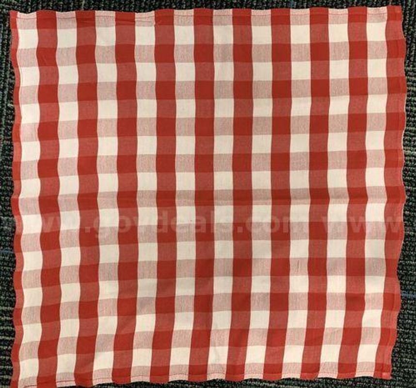 CLOTH NAPKINS (224365 TM)
