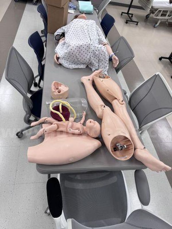 Laerdal Manikin Parts (224725 NM)