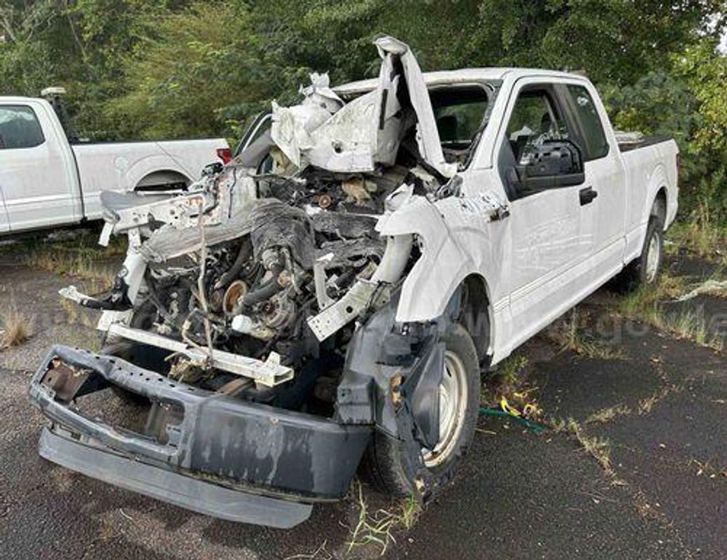 2015 Ford F-150 **Salvaged Title**(225536 TM:DOT)