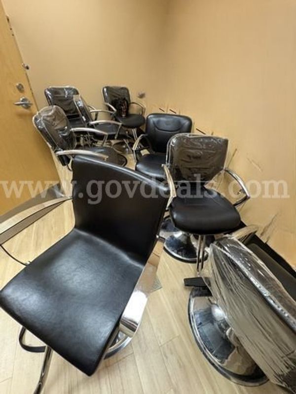 Salon Chair(225595TM)