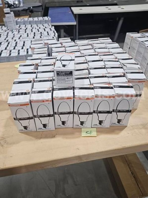 Lights, Ballasts, Etc. (224655 NM)