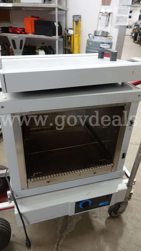 Fisher Scientific Isotemp Laboratory Oven
