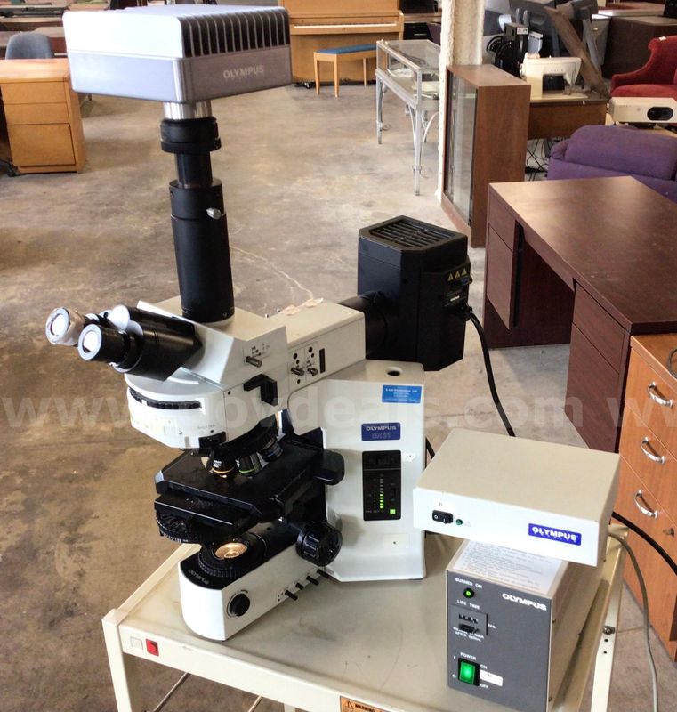 Olympus BX51 Microscope