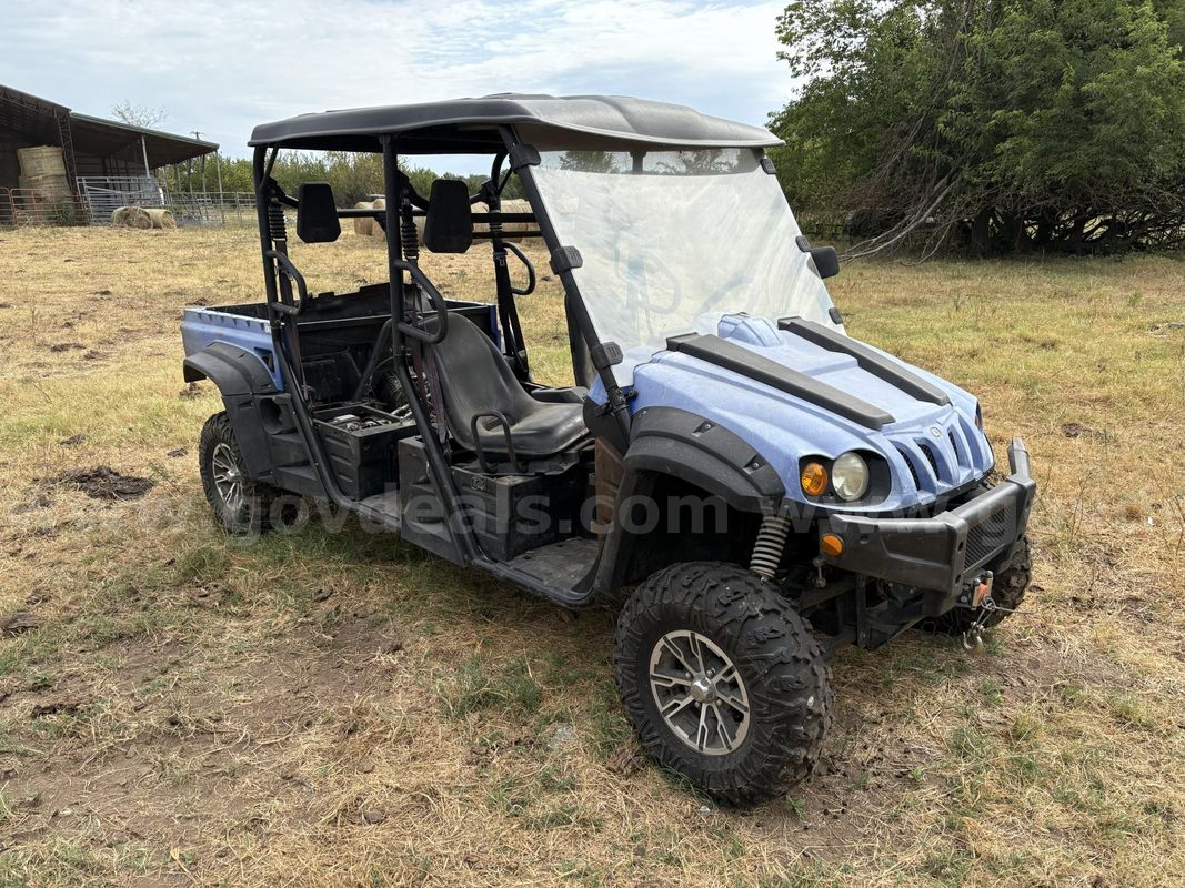 4 Seat Cub Cadet