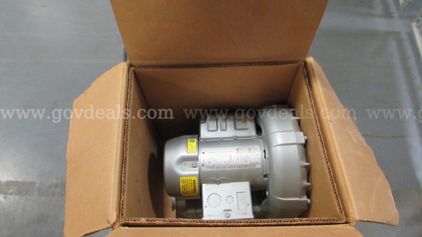 Blower Motor