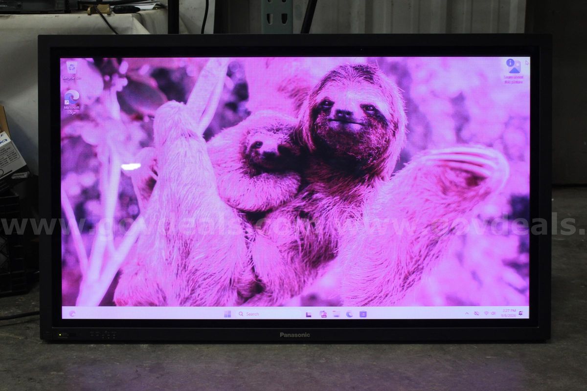 50" Panasonic HD Plasma Screen Display with Flight Case