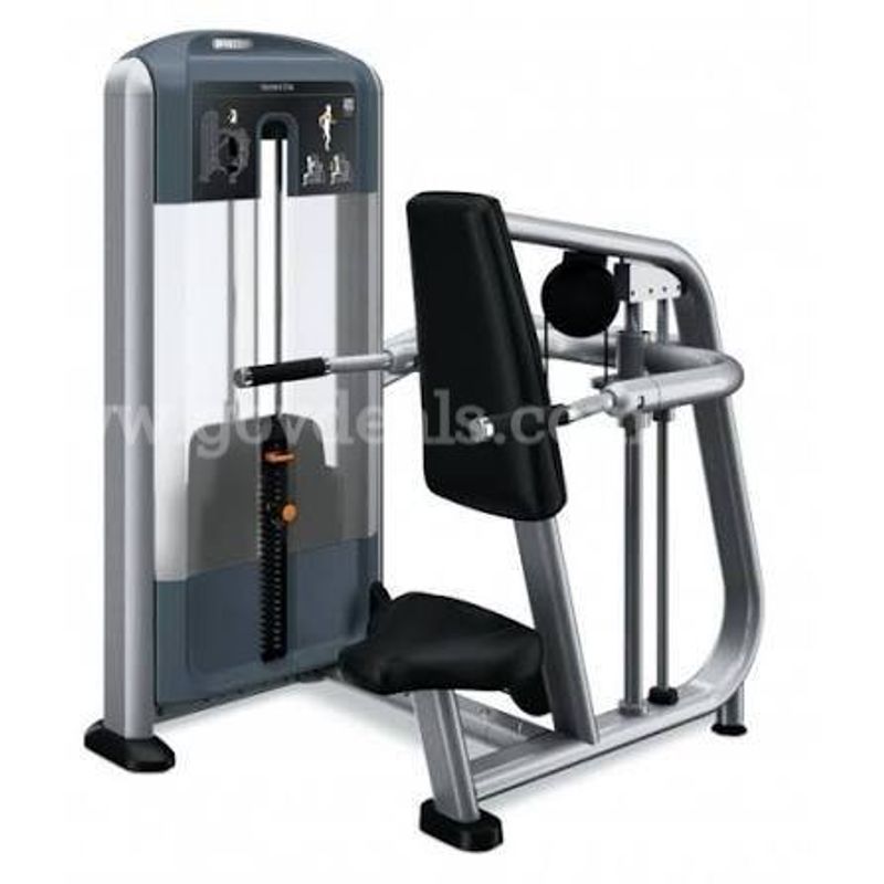 Precor Seated Dip Machine