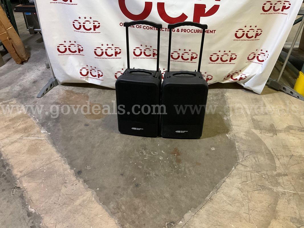 Lot Of 2 Hamilton Buhi speakers