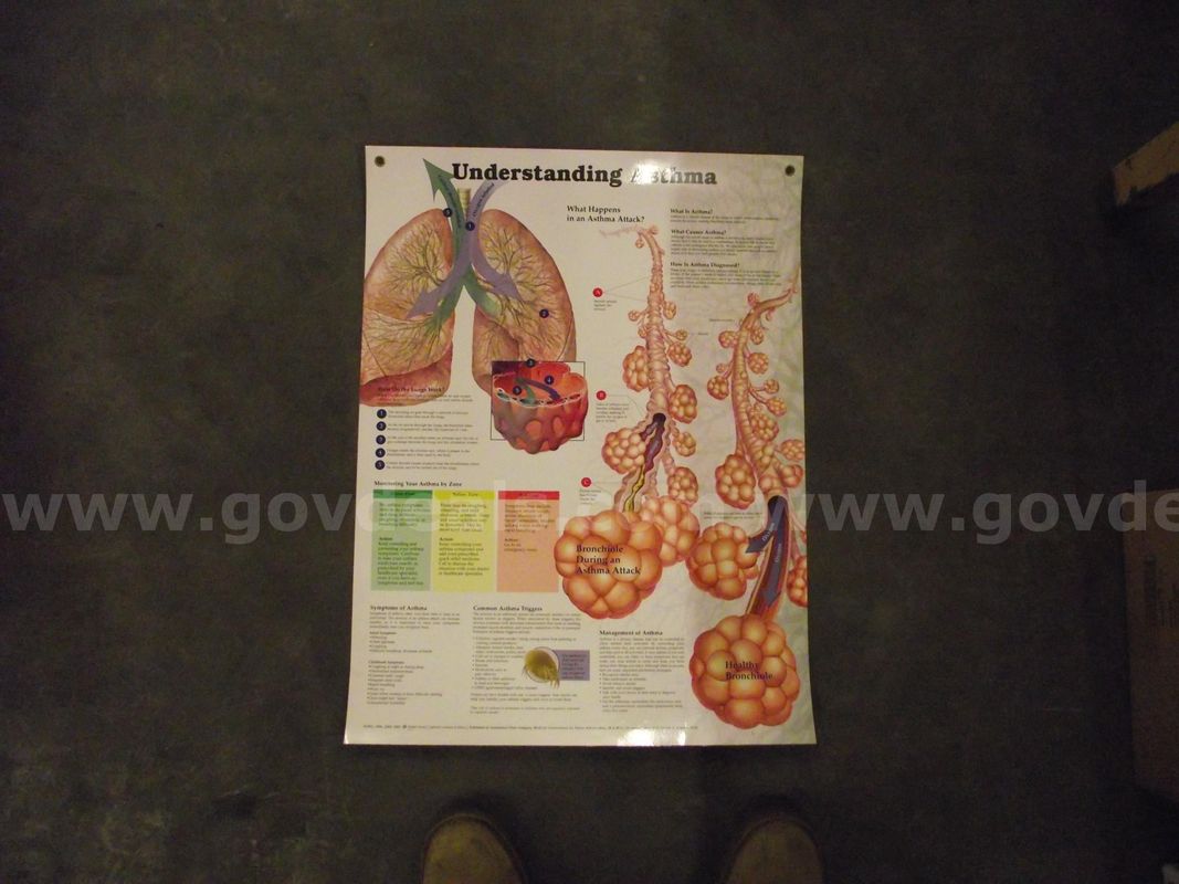 Medical Posters
