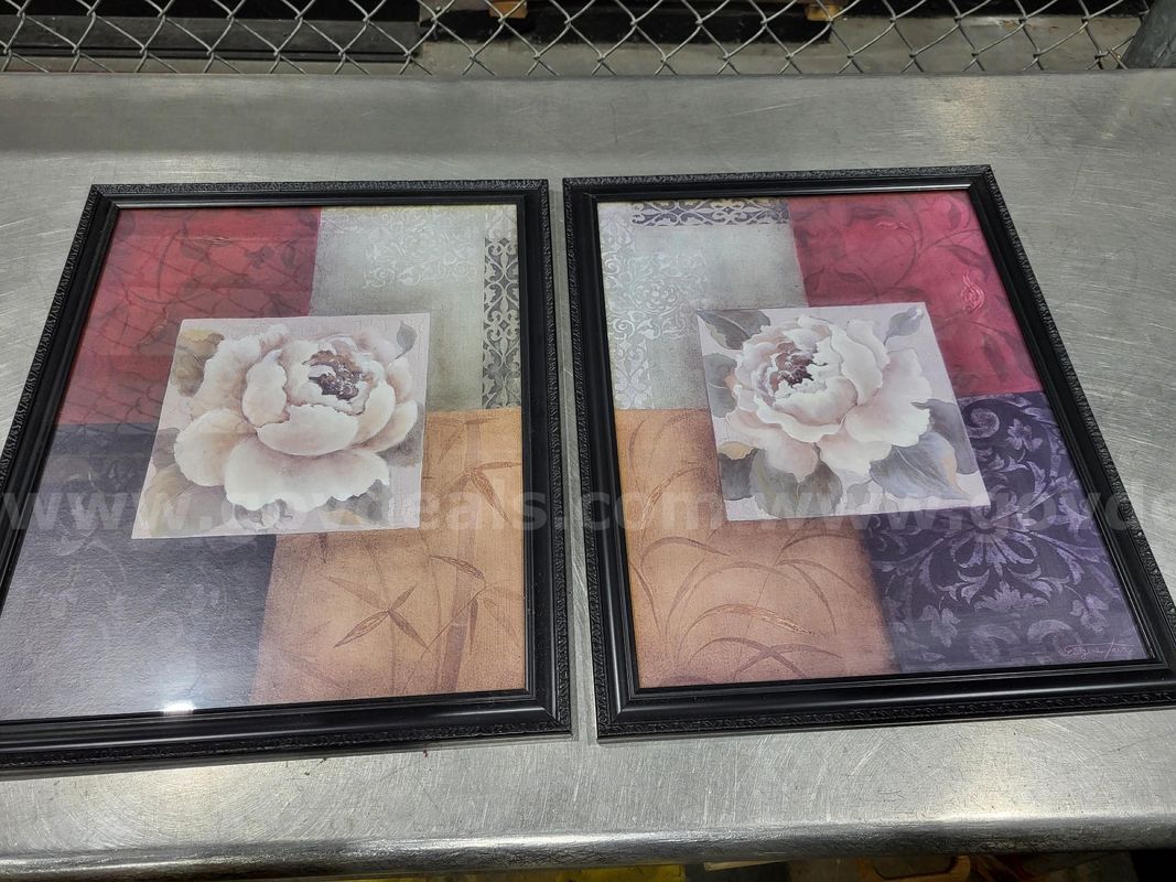 used framed pictures