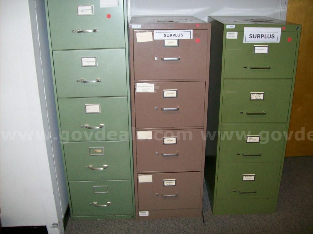 17 File Cabinets and 8 Bookcases:
