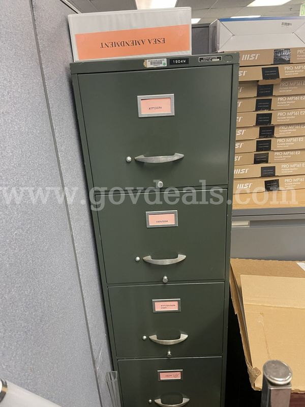 File Cabinets, Desk, Storage Cabinet, Tables