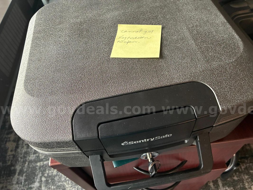 2 Portable Sentry Safes with Keys