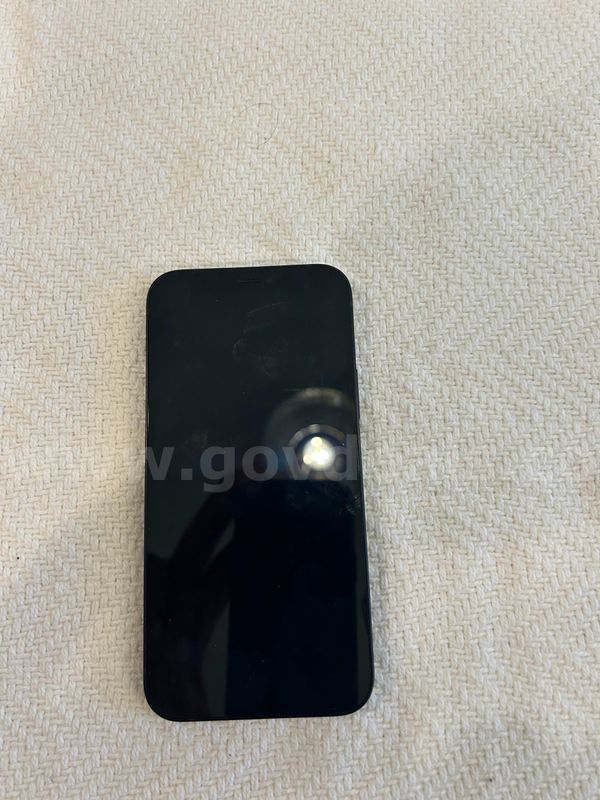 iPhone 12 (1)