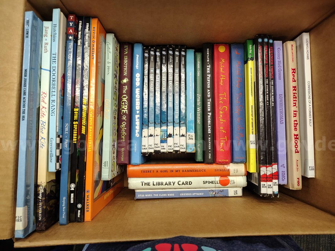 Library books